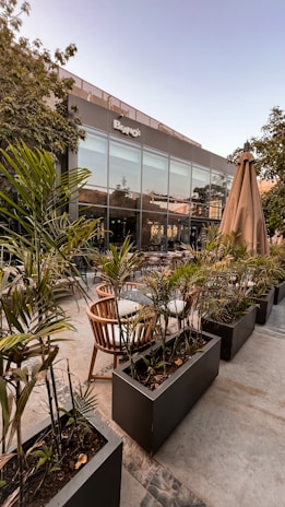 An elegant outdoor seating area surrounded by decorative plants.