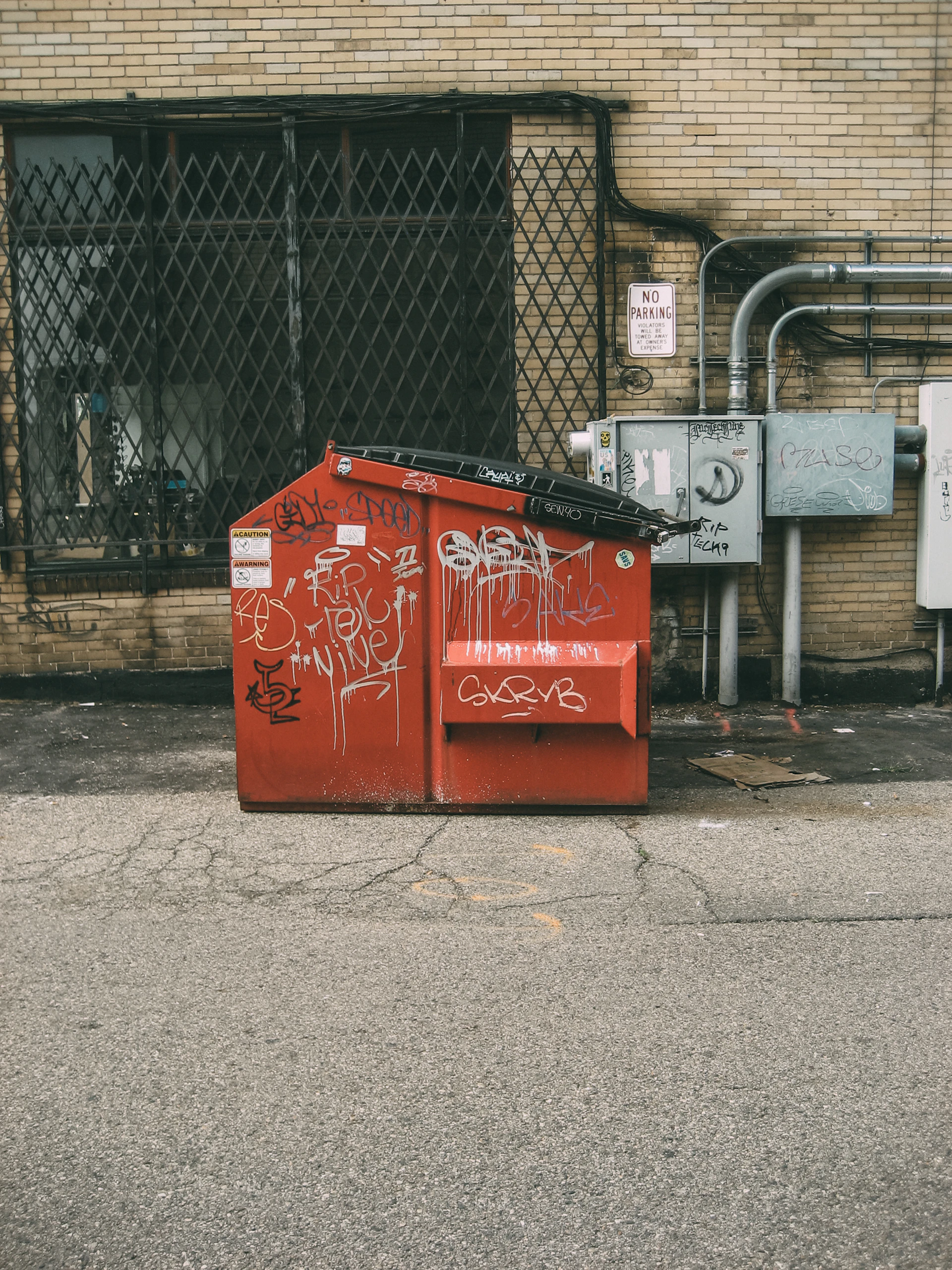 Large roll-off dumpster container staged on site for a cleanup project