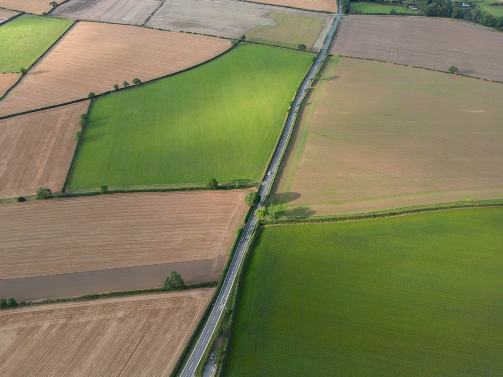 a large field with a few rows of green grass