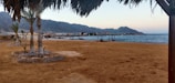 A serene beach scene features a sandy shore lined with palm trees and small thatched huts. The setting is backed by majestic mountains and a calm, blue sea. The sky is slightly overcast but clear, adding to the tranquil atmosphere.