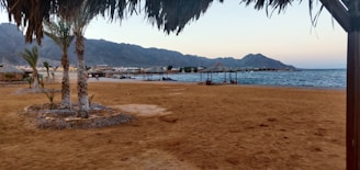 A serene beach setting ideal for honeymooners.
