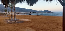 A serene beach scene features a sandy shore lined with palm trees and small thatched huts. The setting is backed by majestic mountains and a calm, blue sea. The sky is slightly overcast but clear, adding to the tranquil atmosphere.