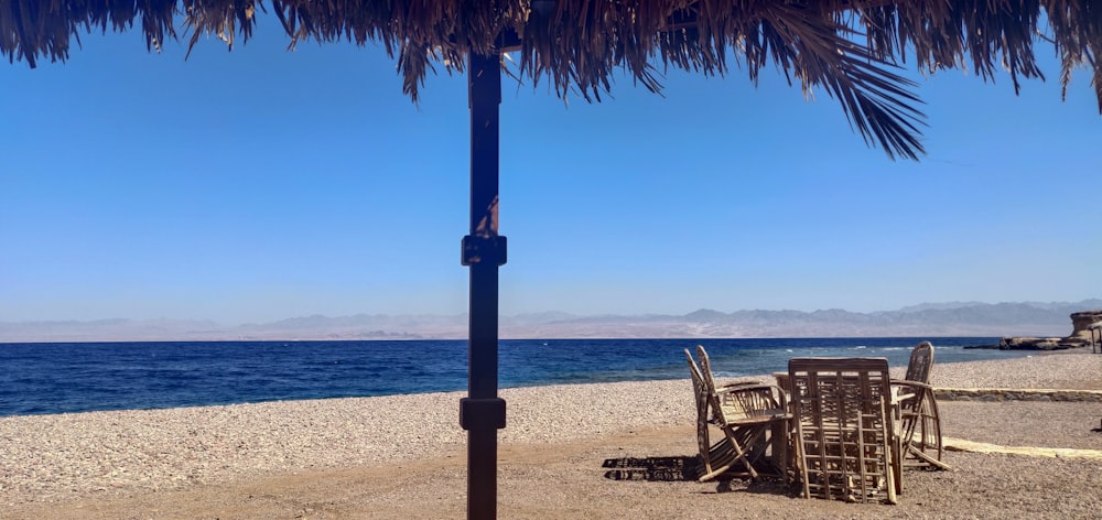 chairs under a palm tree on a beach