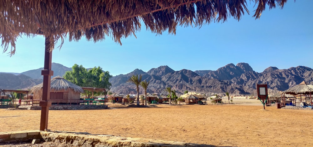 Ein Strand mit Palmen und Bergen im Hintergrund