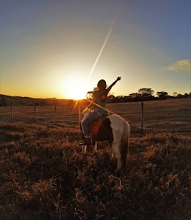 a person riding a horse