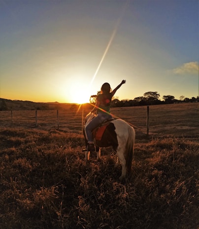 a person riding a horse