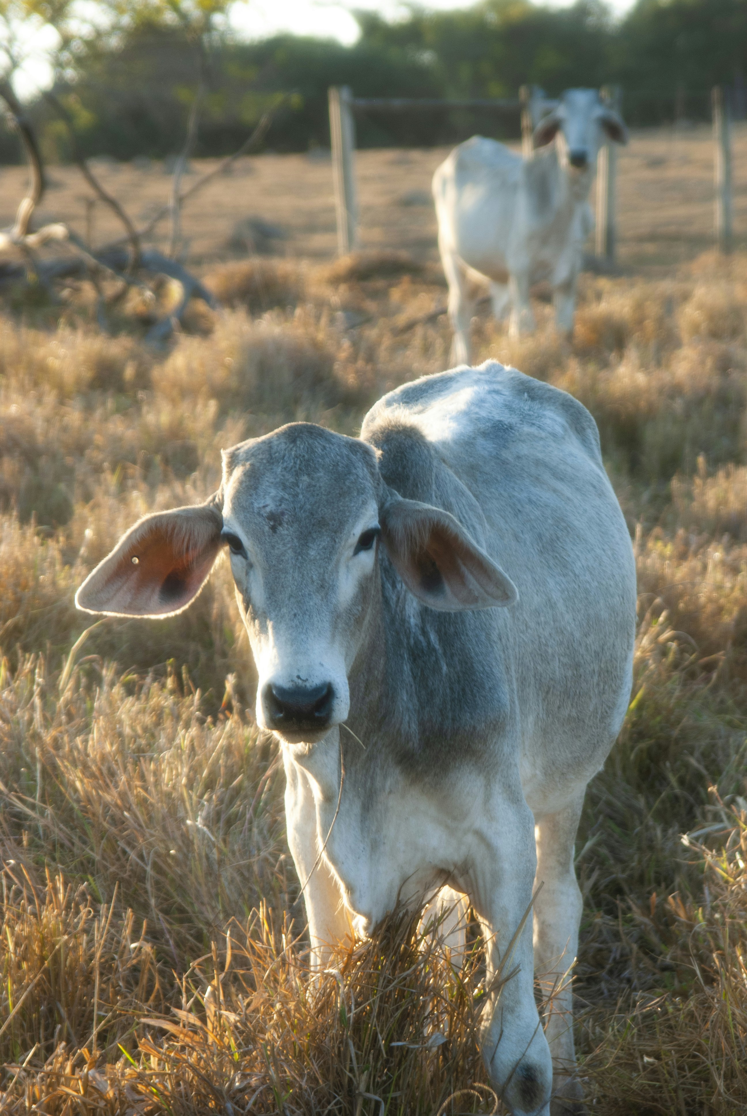 Photo by moisesamaral7