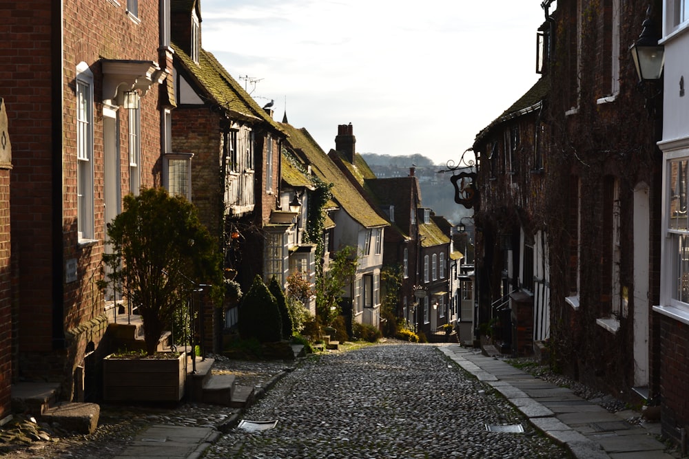 a cobblestone street between buildings