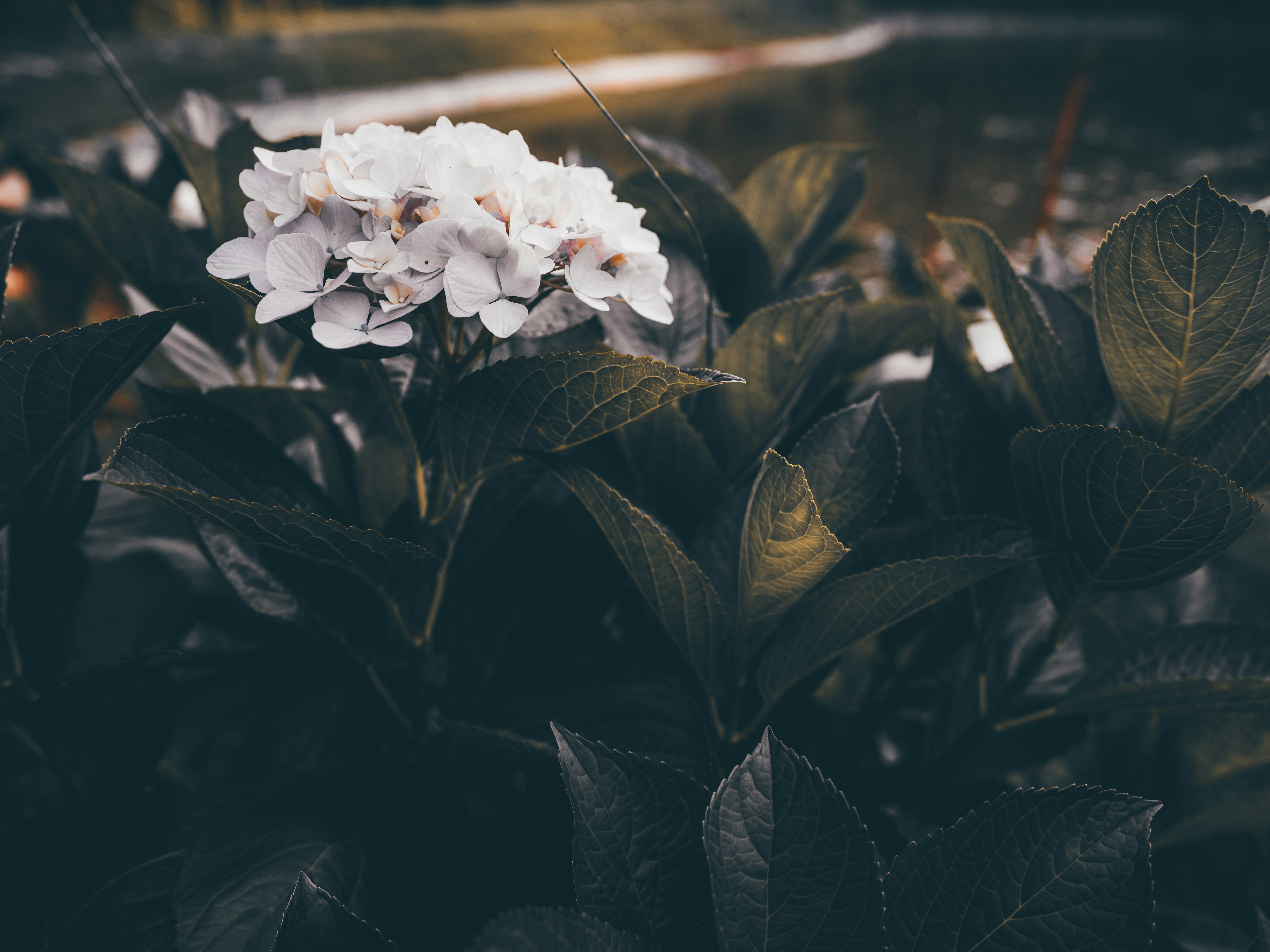 Photo by paulwei