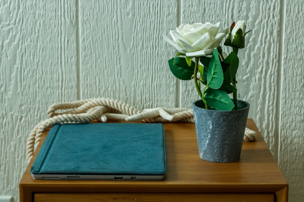 a white flower in a pot on a wooden table