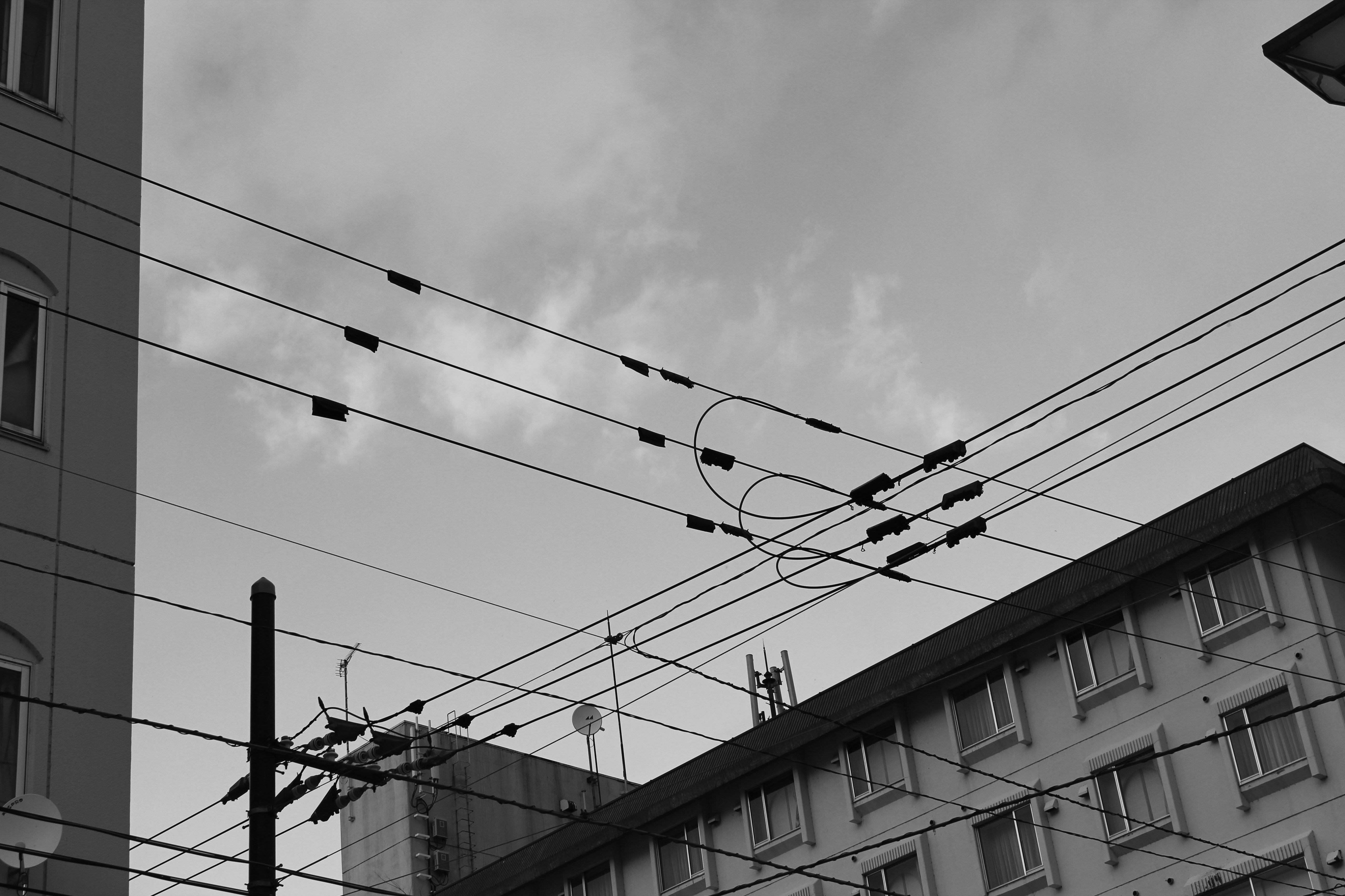 Photo by offinlew