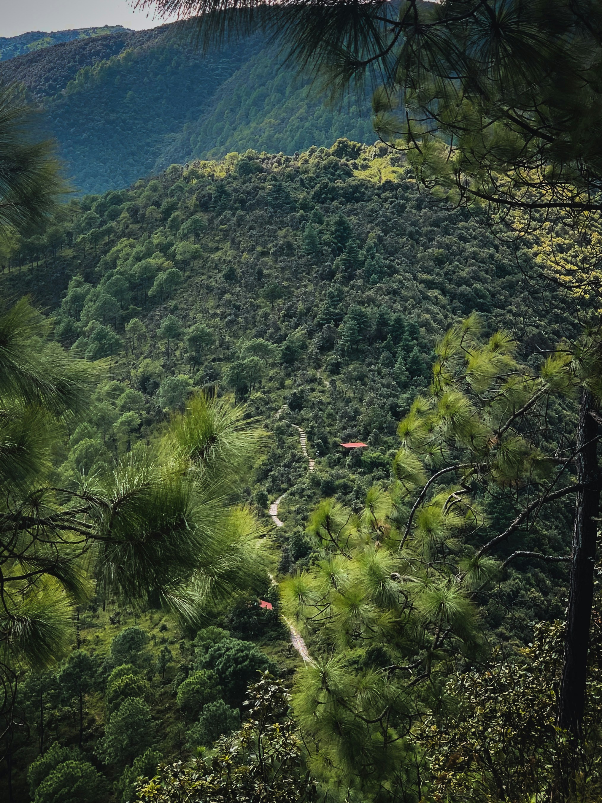 Photo by basnetprabin66