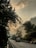 A truck driving on a scenic highway surrounded by trees.