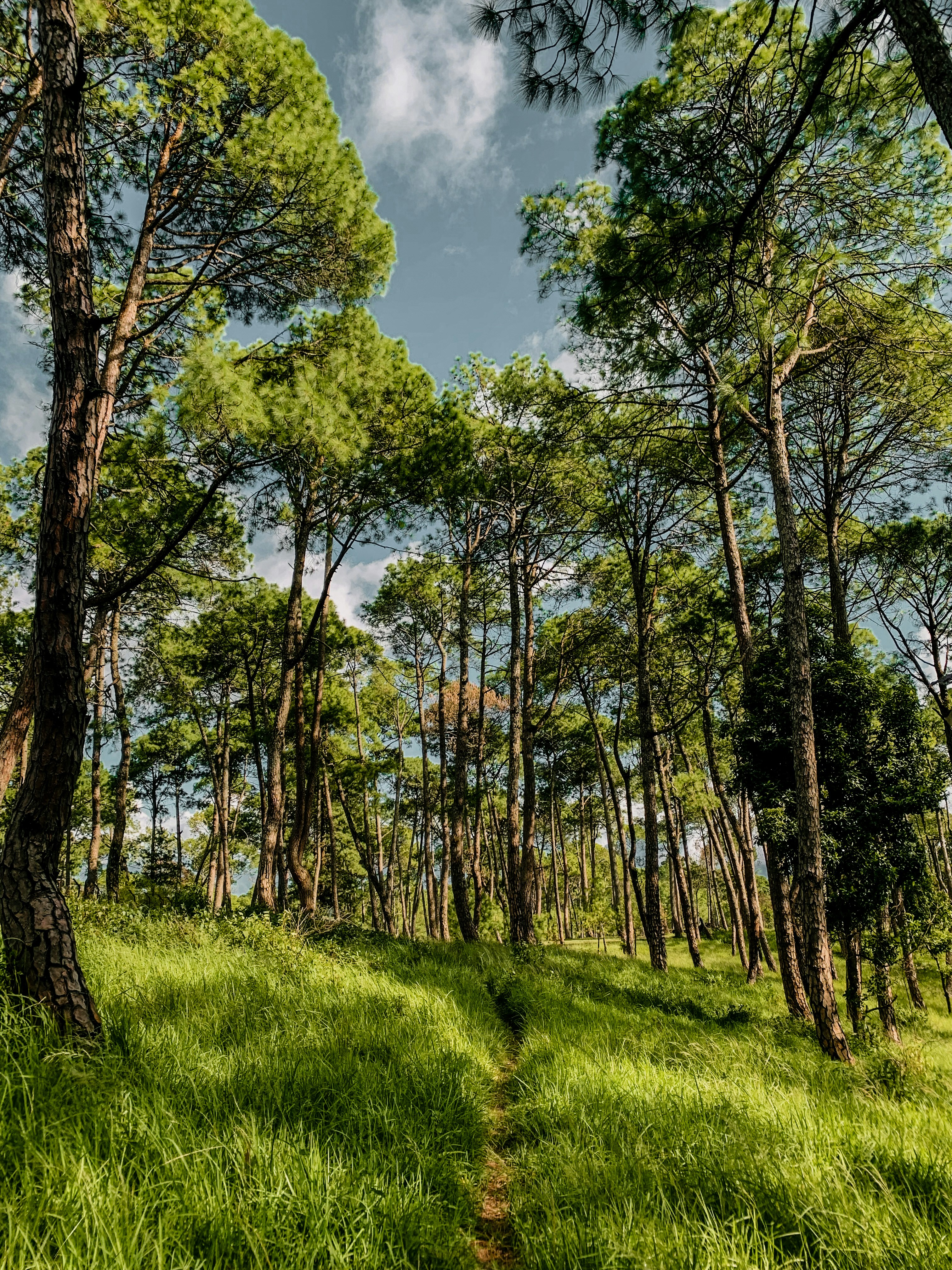 Photo by basnetprabin66