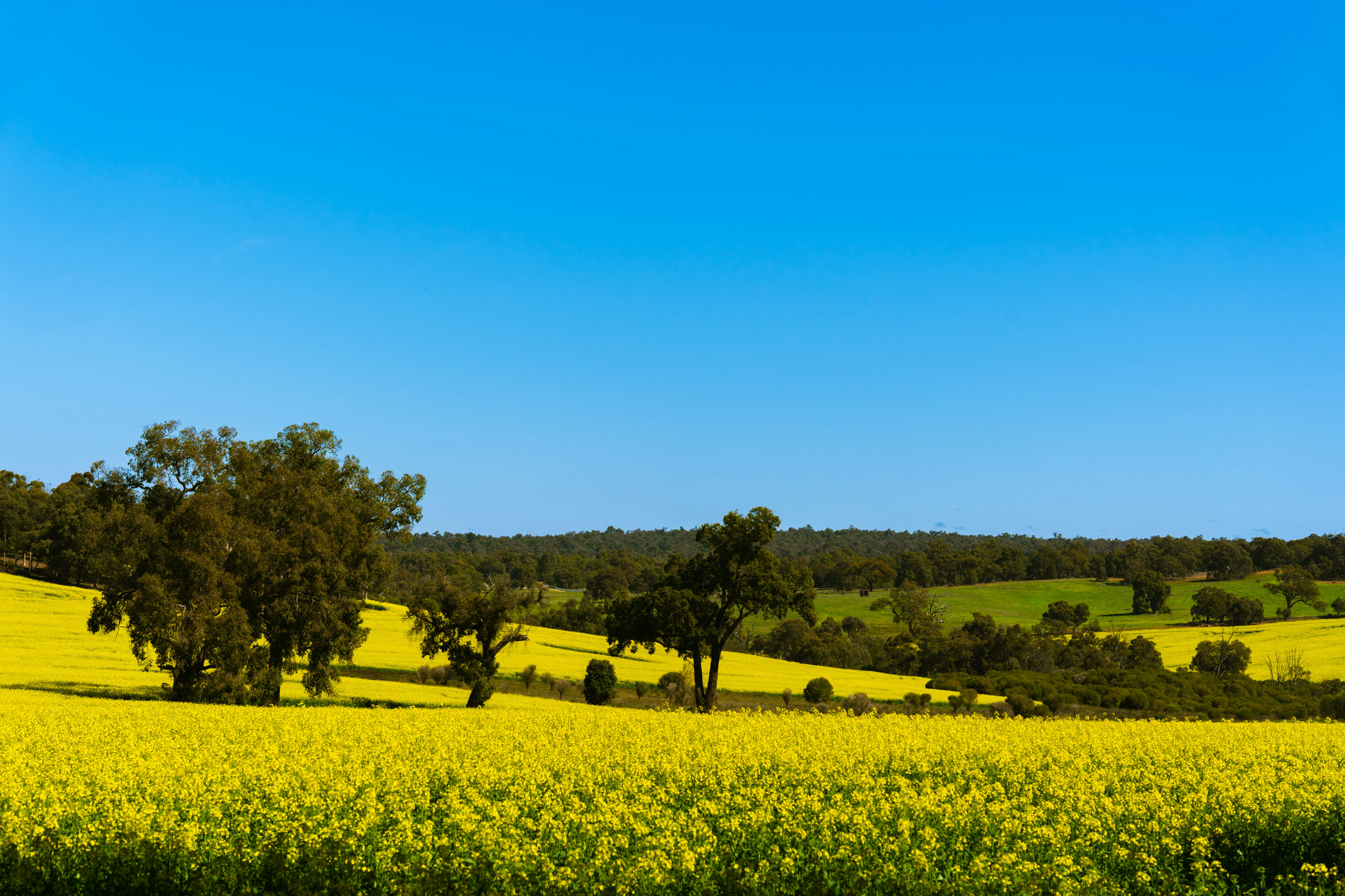 Photo by lyc55551313