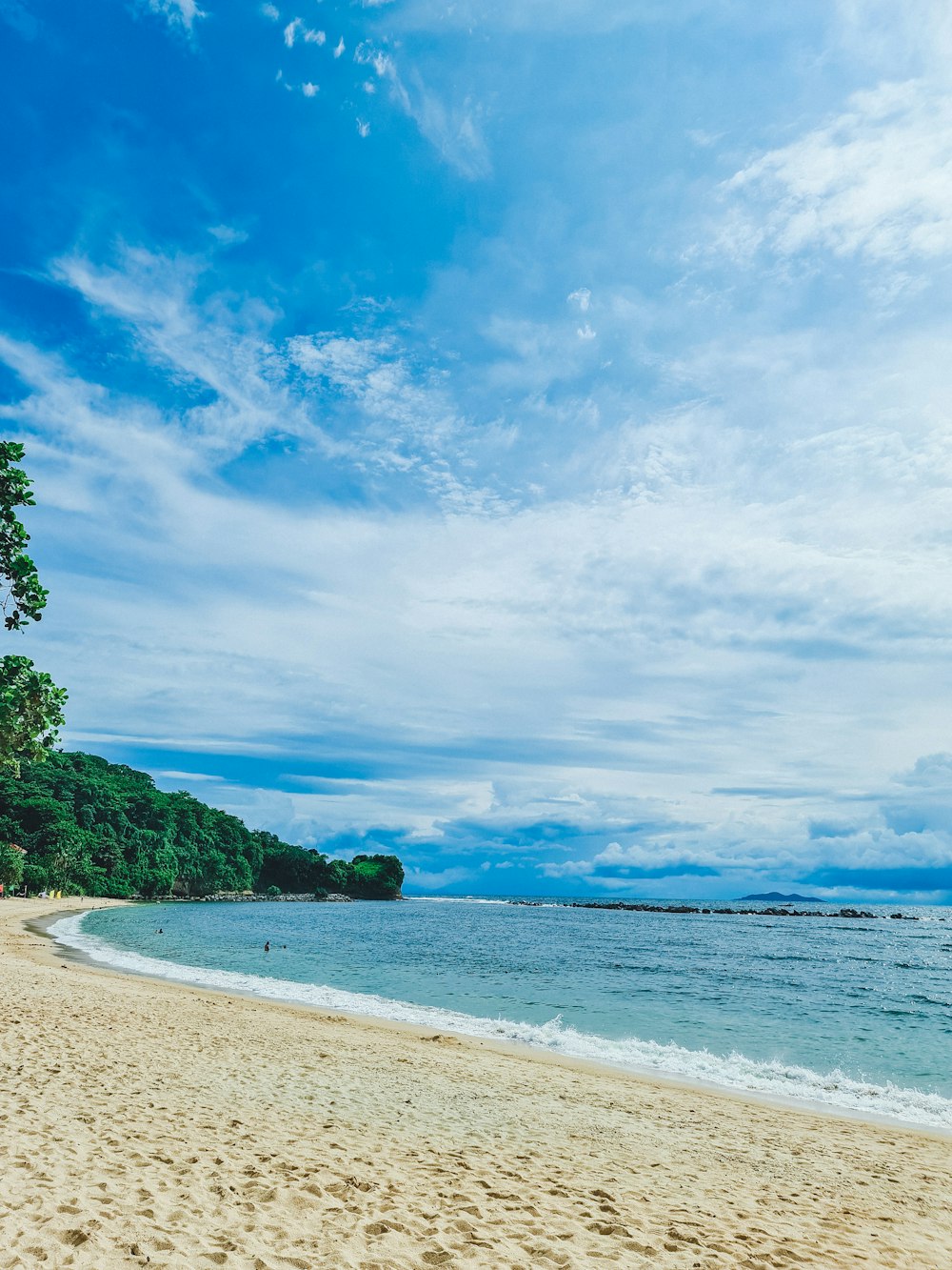 a beach with trees and blue sky