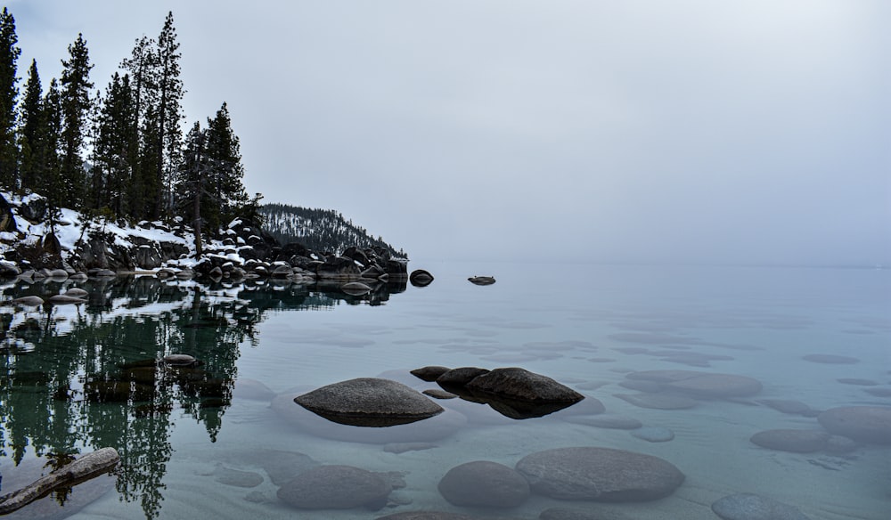 a snowy lake with trees