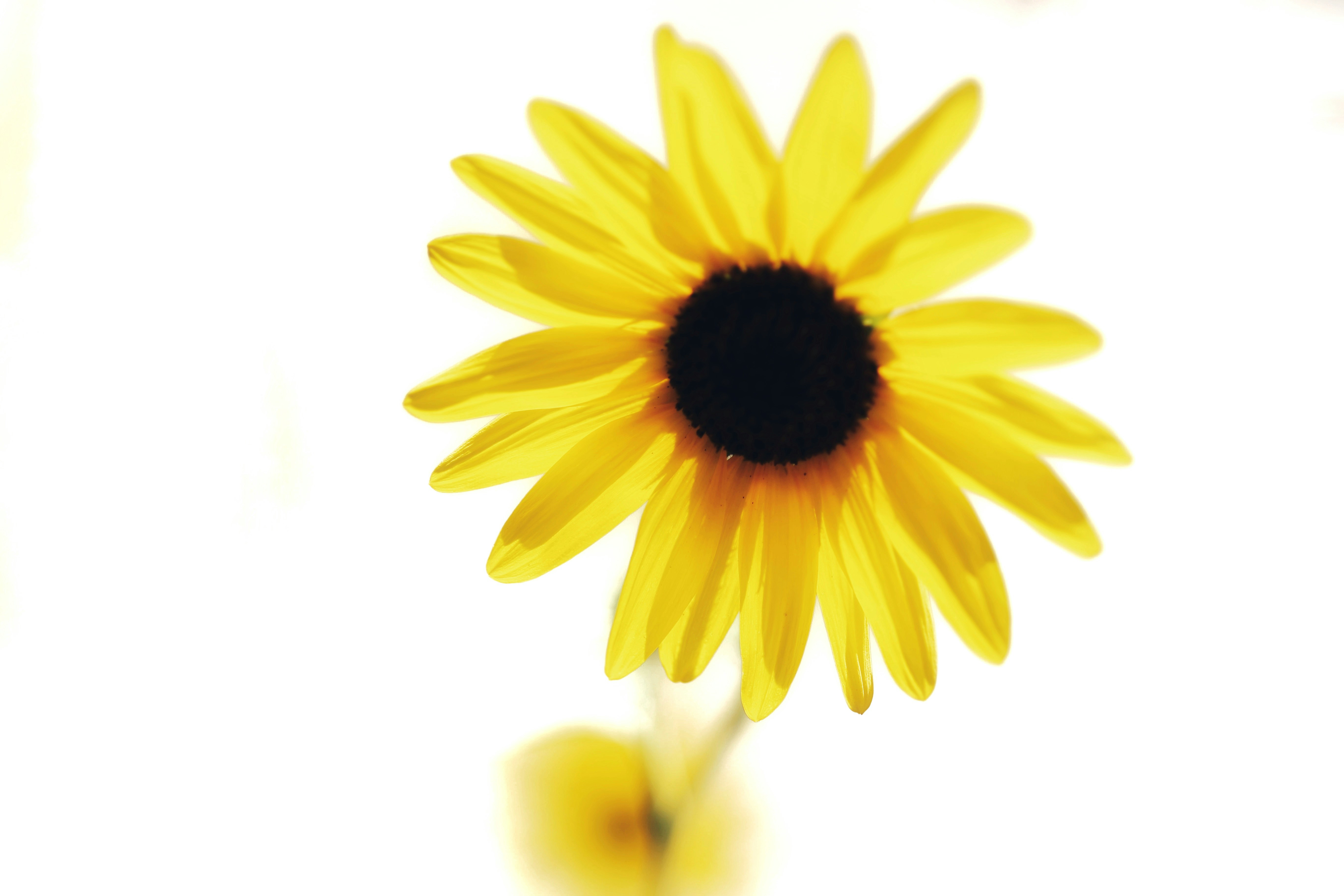 Photo by joshua_hoehne