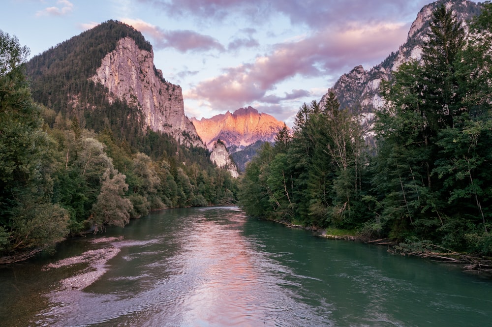 a river with trees and mountains in the background