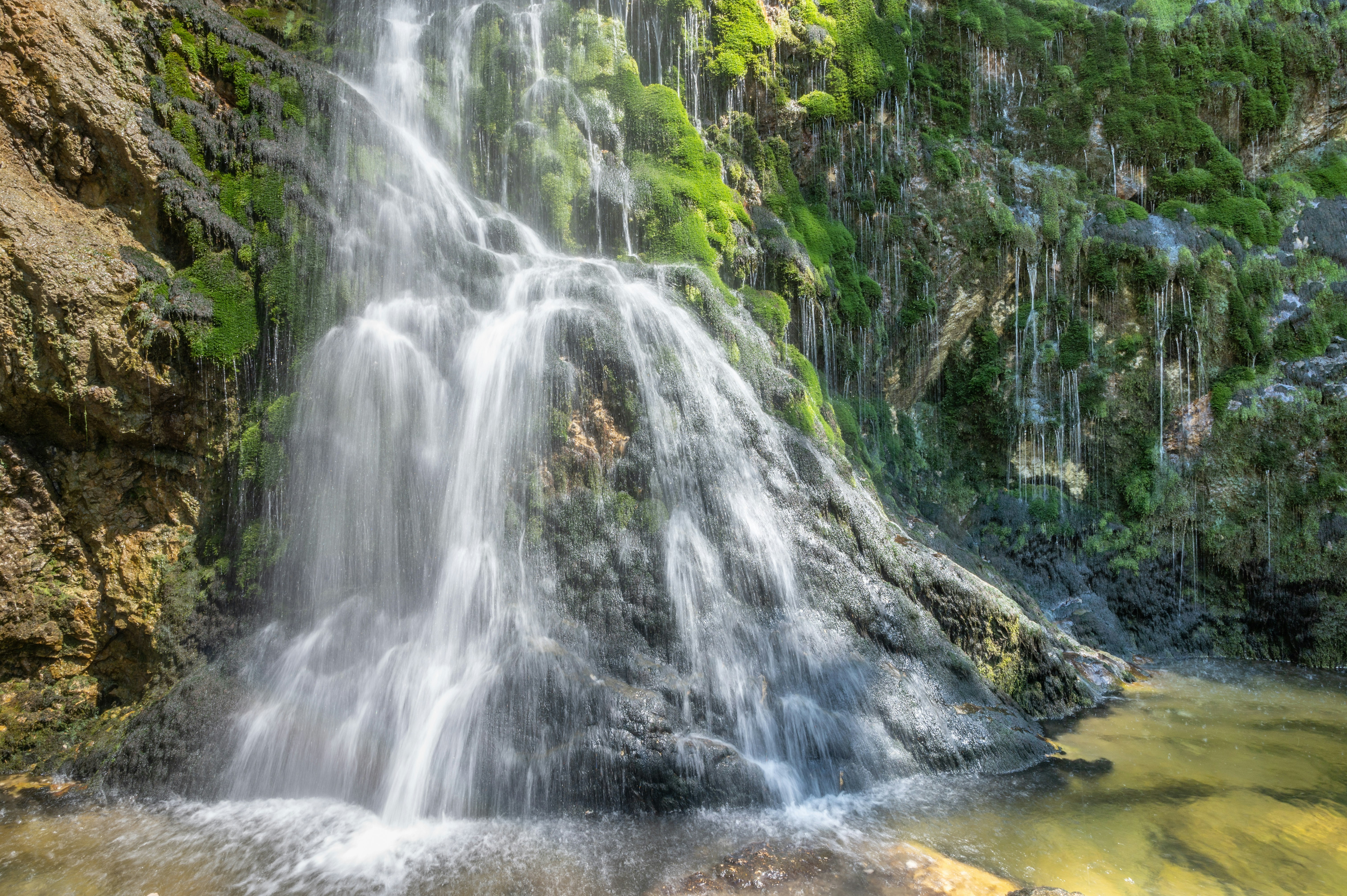 Photo by carrie_borden