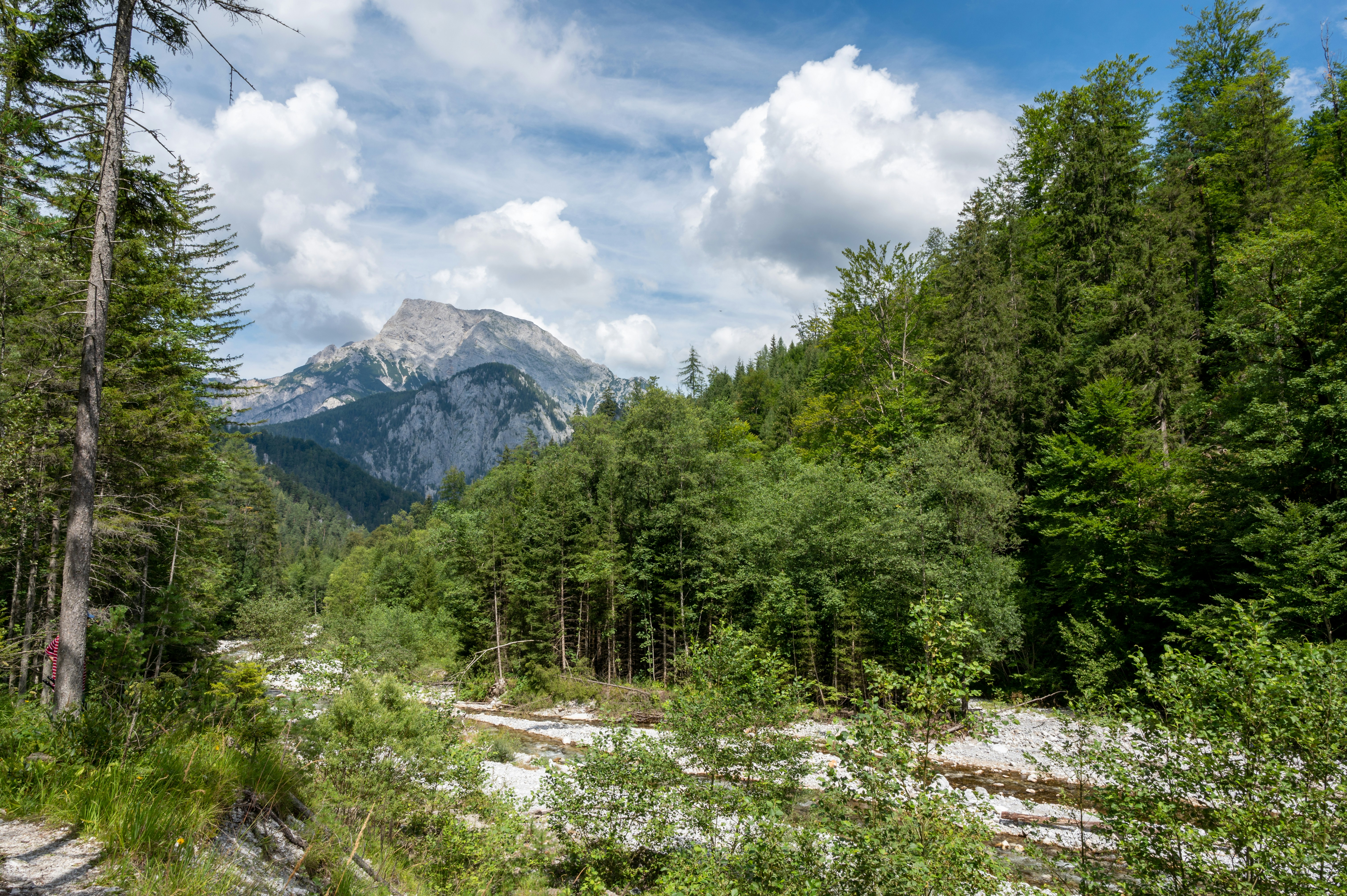 Photo by carrie_borden