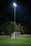 A dynamic photo of a young footballer celebrating a goal under stadium lights.