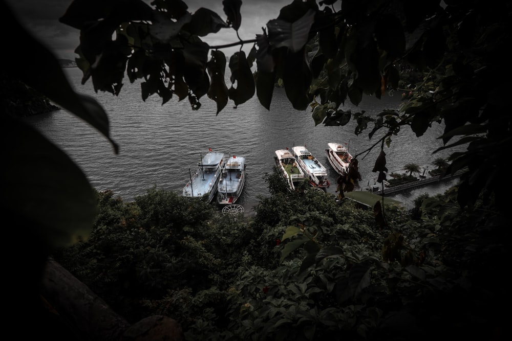 Eine Gruppe von Booten auf einem See