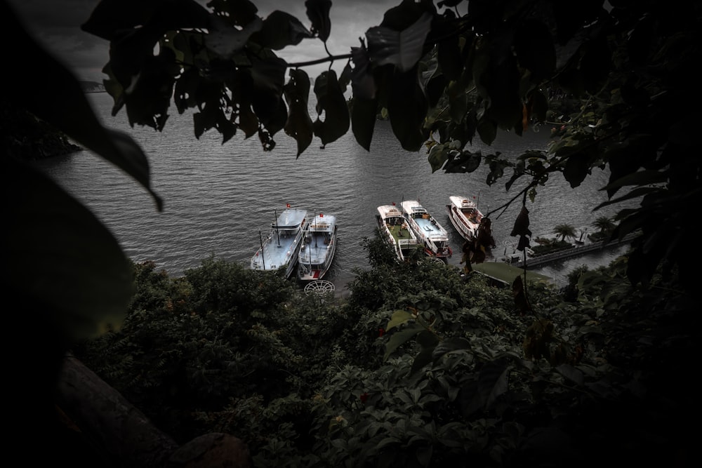 a group of boats on a lake