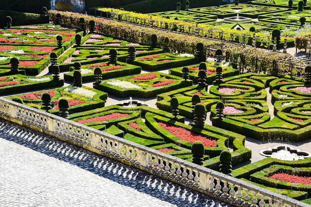 a large garden with flowers