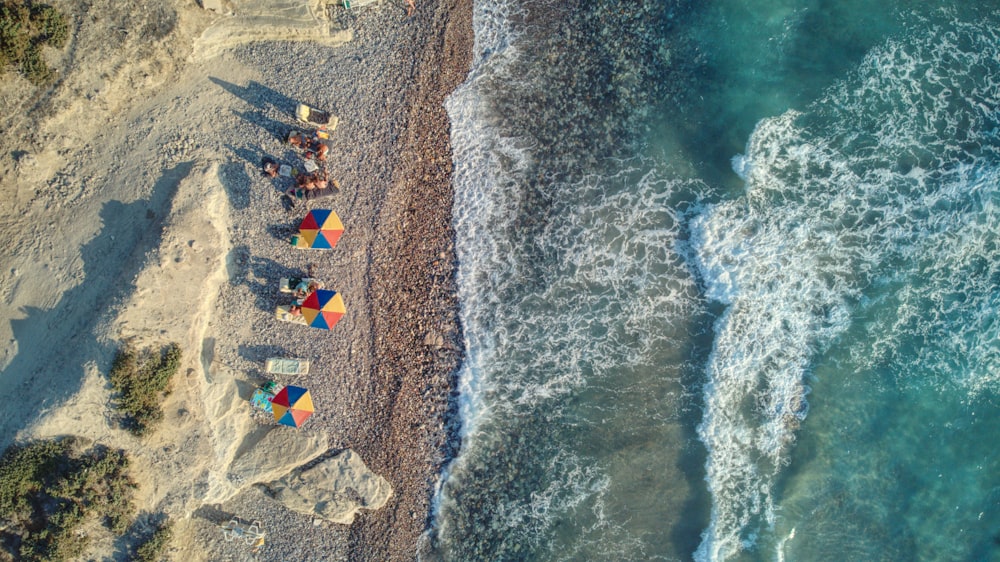 a group of people on a beach