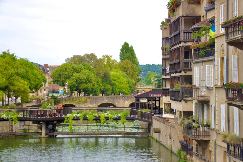 a river with buildings along it