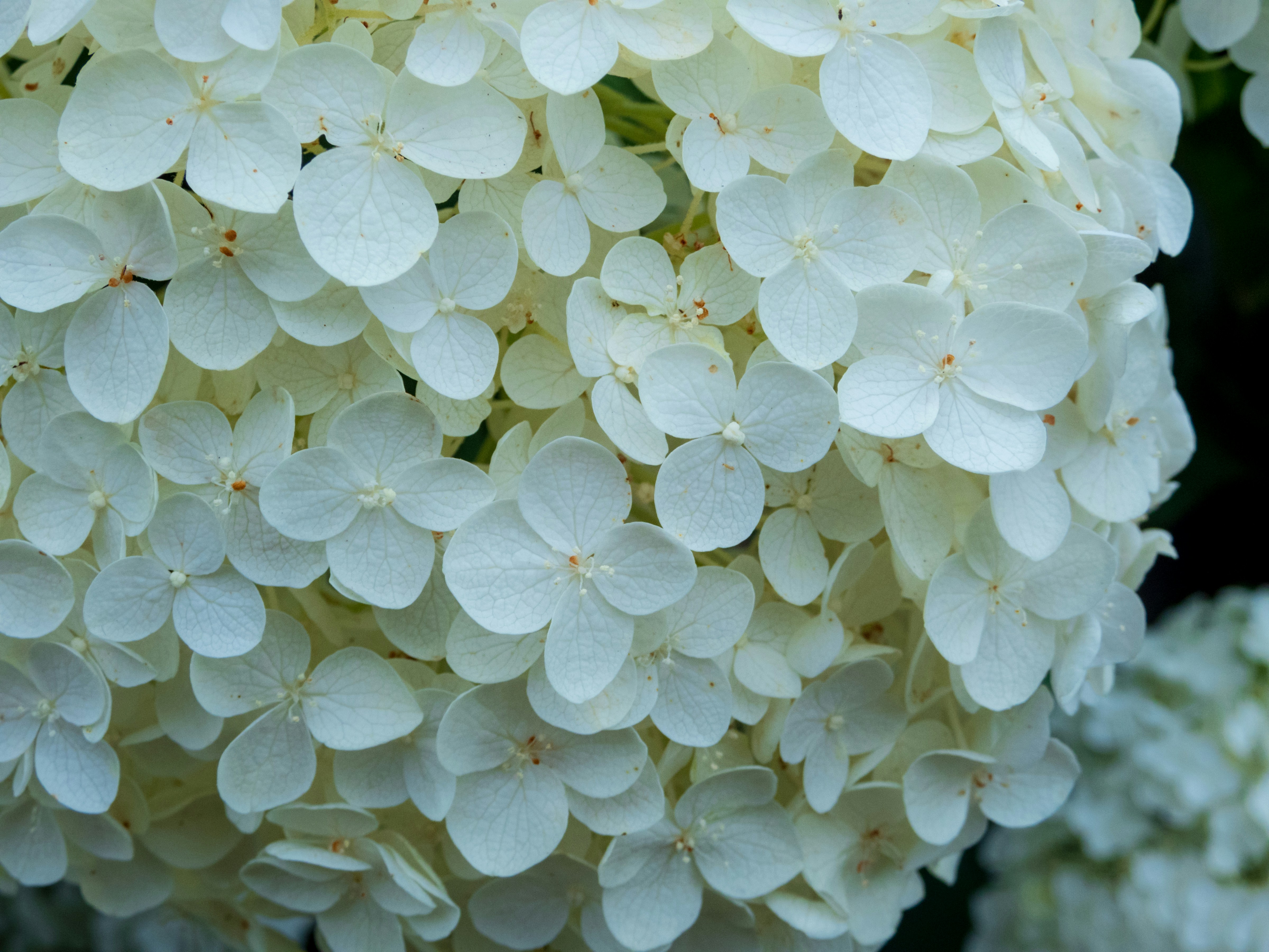 Photo by heppoko_yama