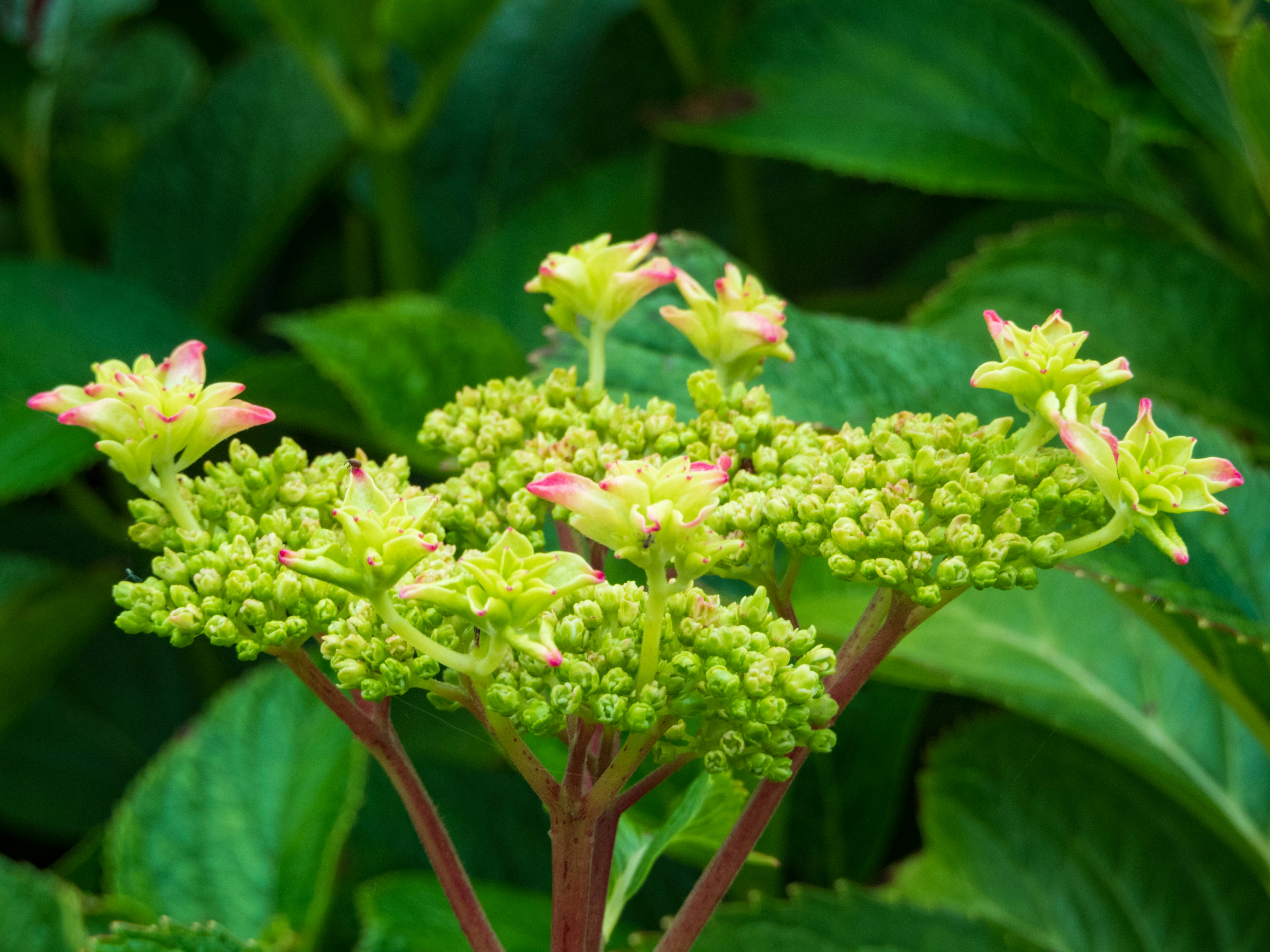 Photo by heppoko_yama