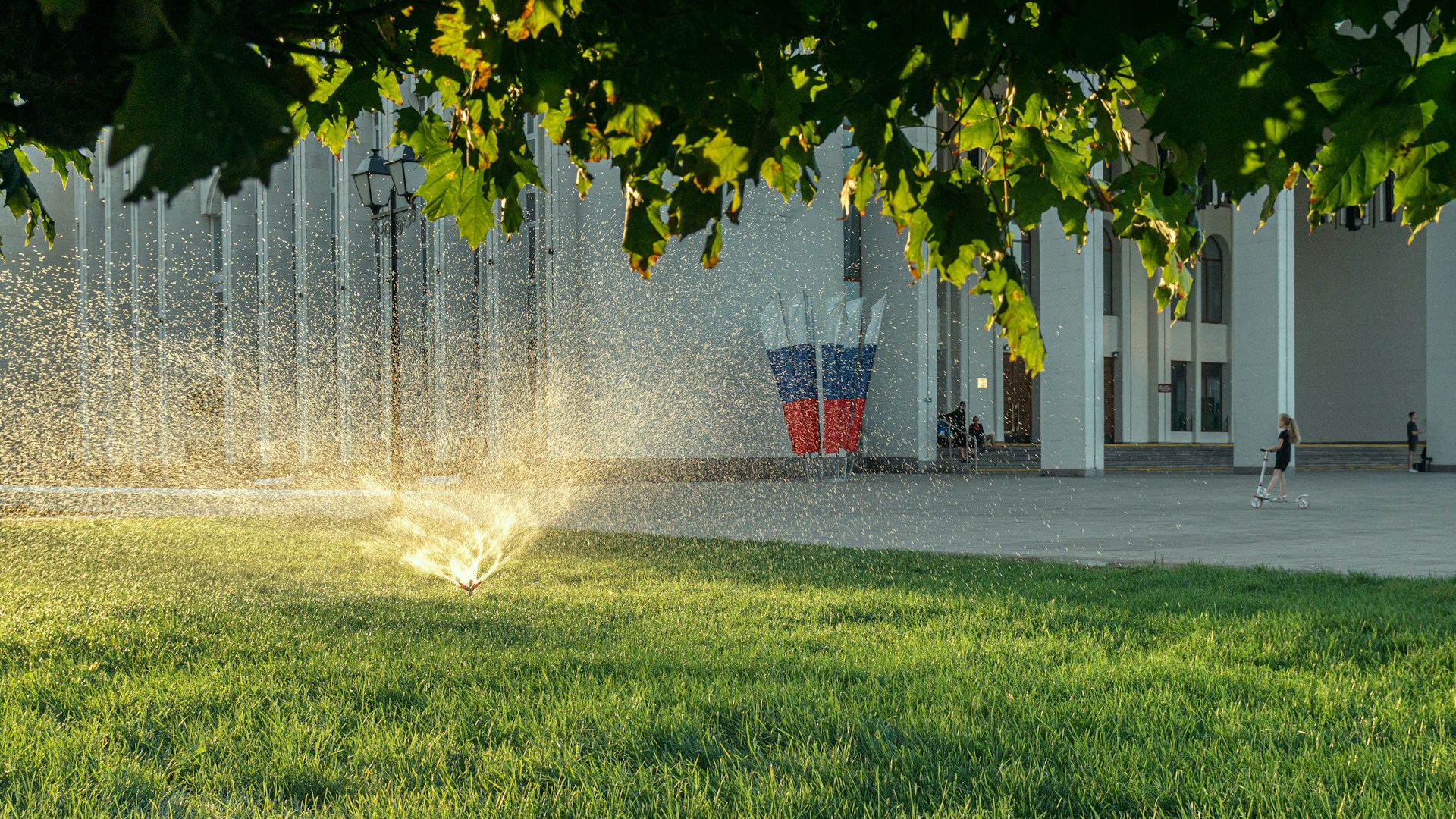 gray computer monitor
