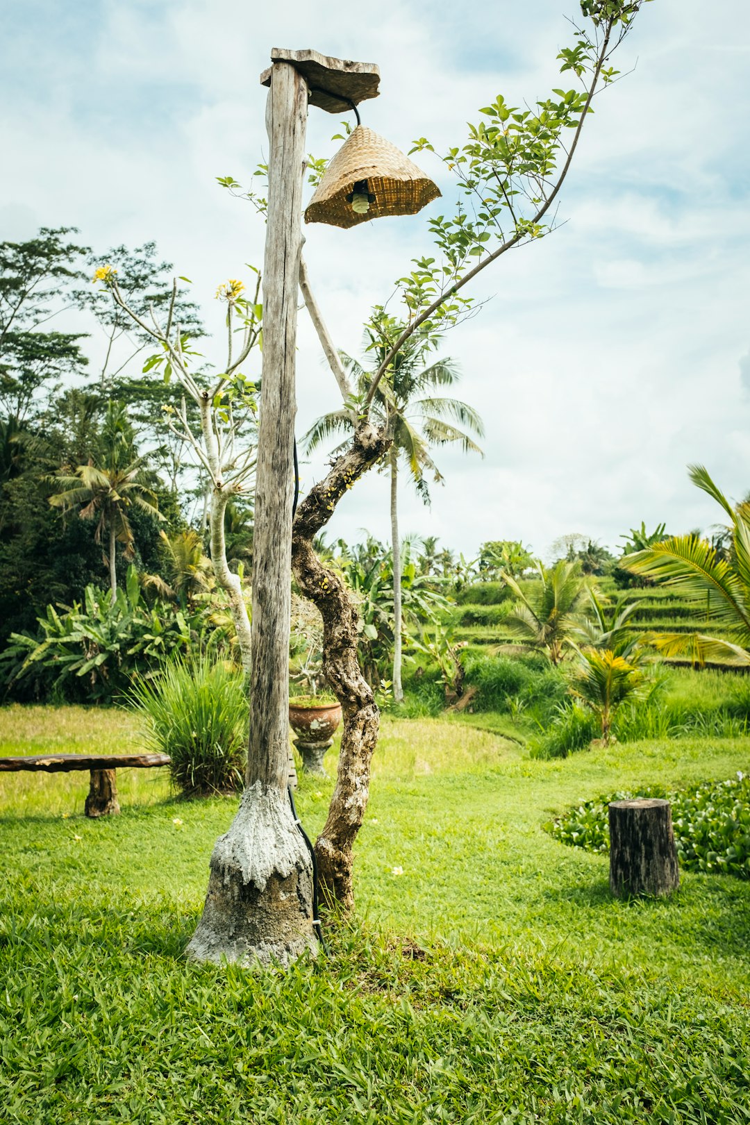 Natural landscape photo spot Ubud Bangli