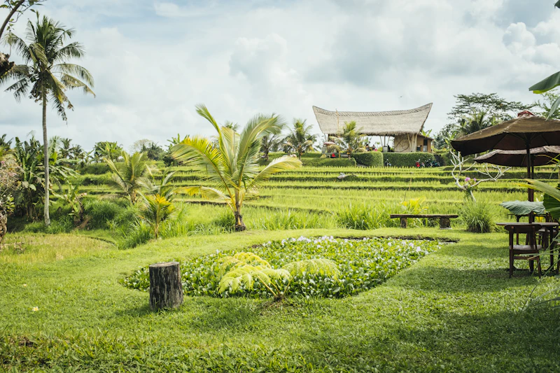 Best Glamping Spots Near Ubud for a Night Under the Stars