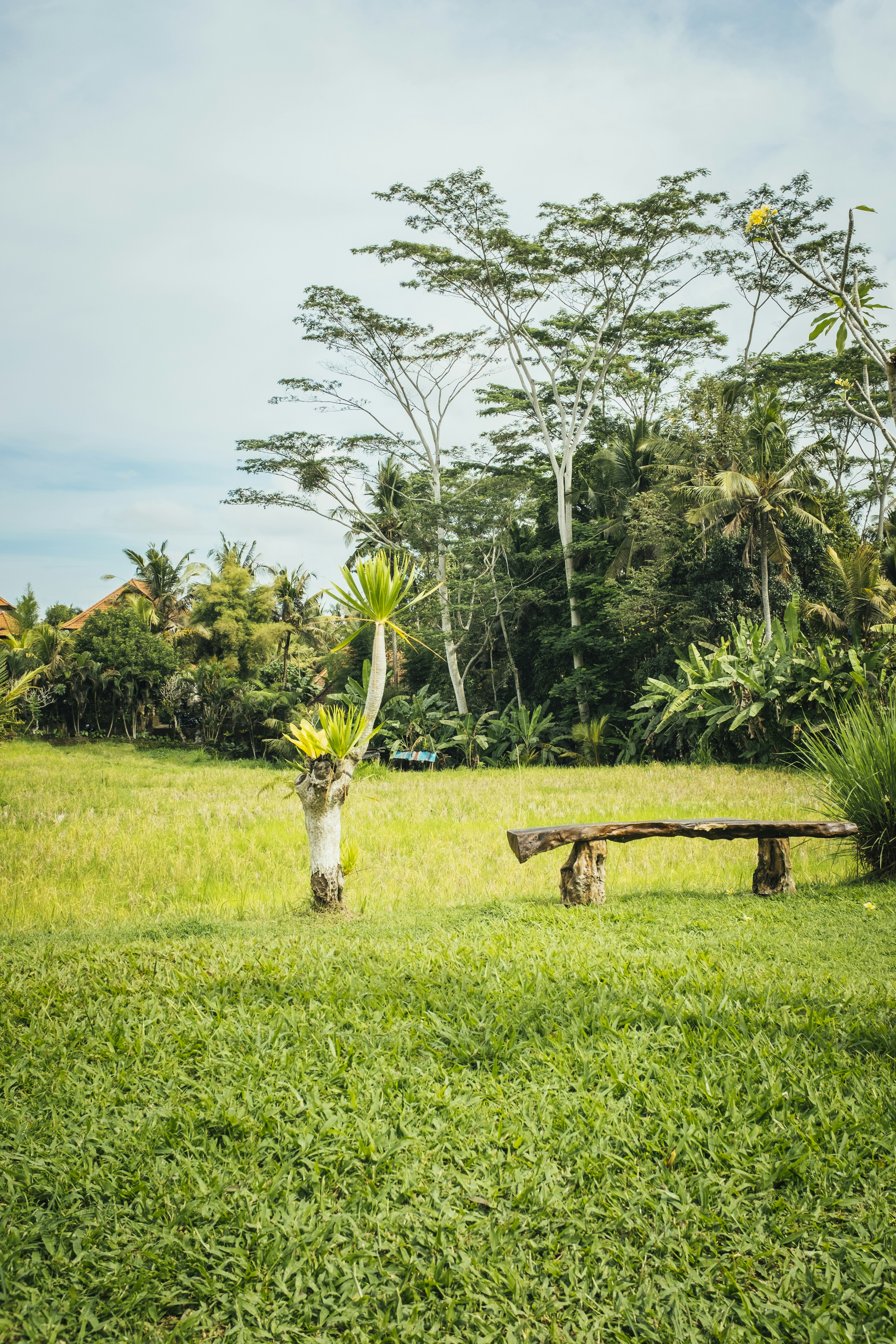 a bench in a park
