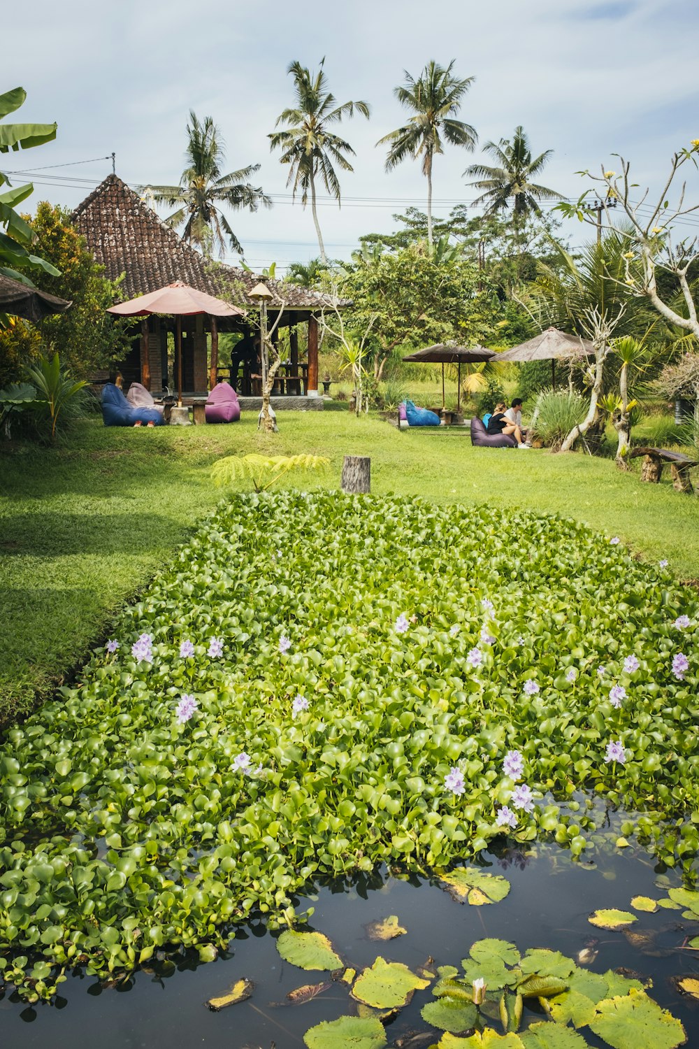 personnes assises dans un jardin