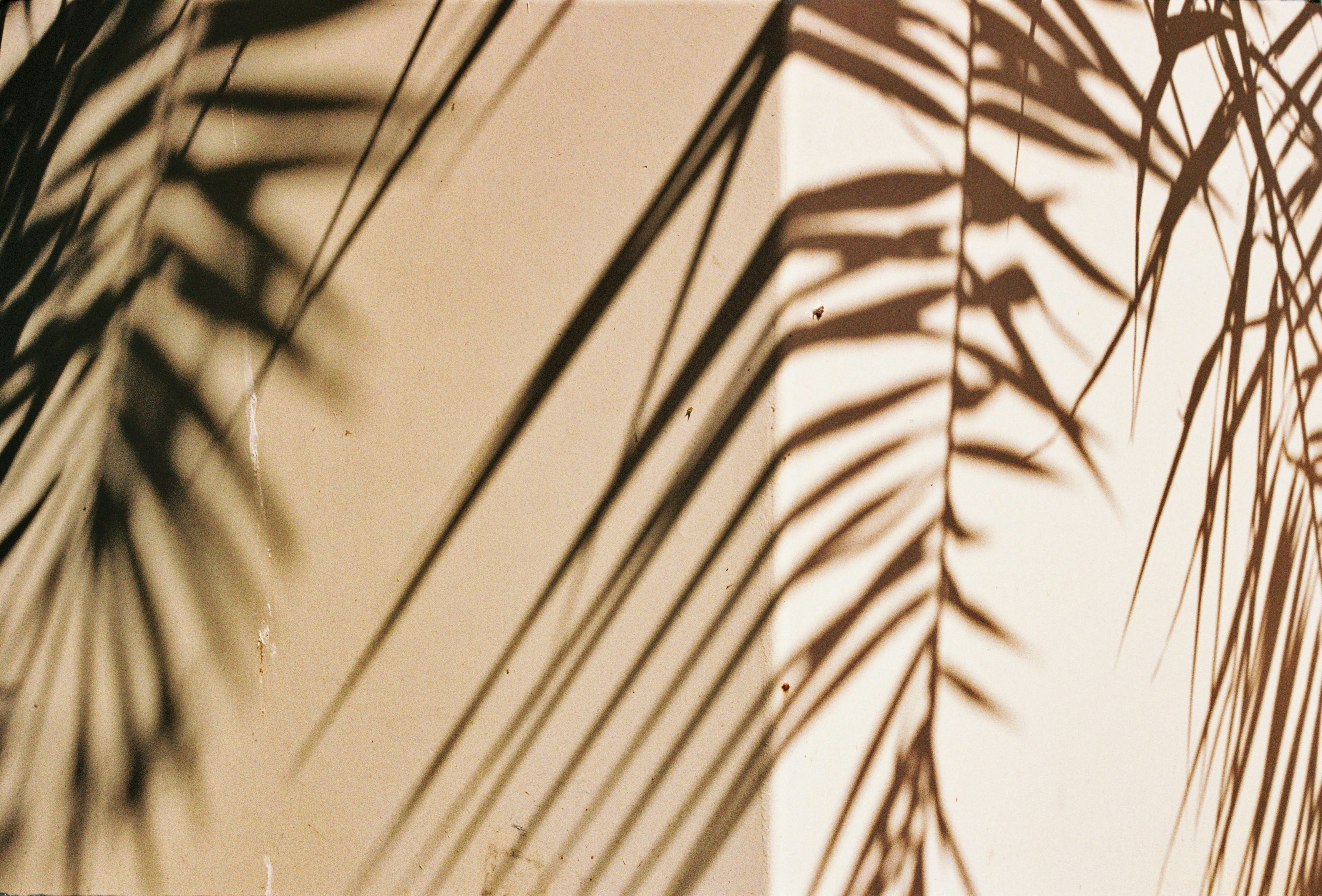 Photo by chrisvomradio