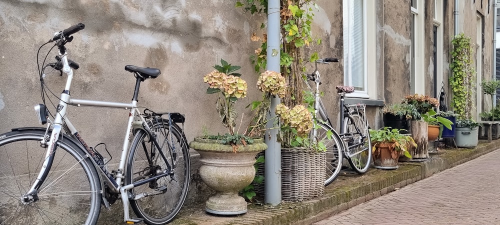 bicycles parked on a sidewalk