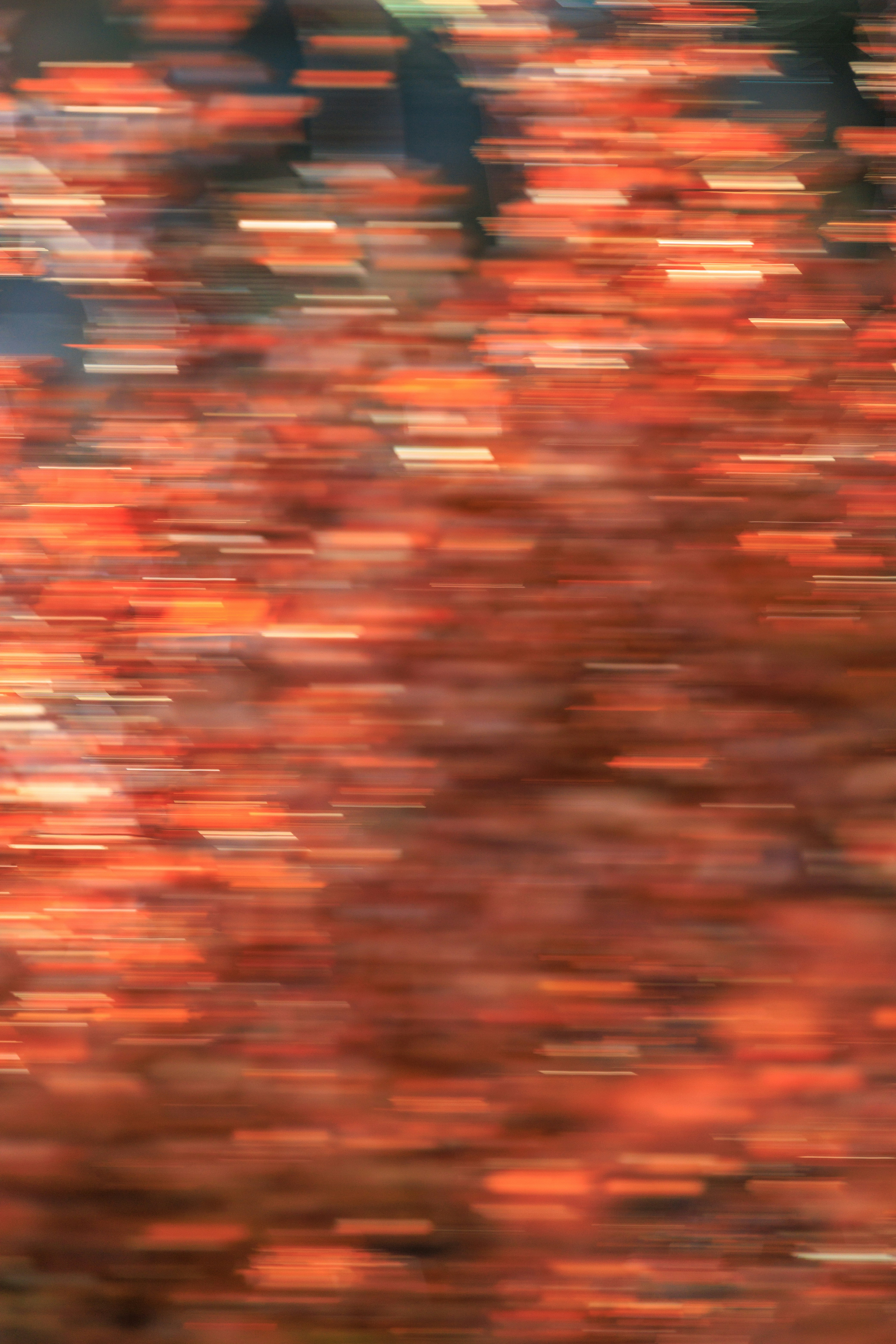 Photo by grievek1610begur