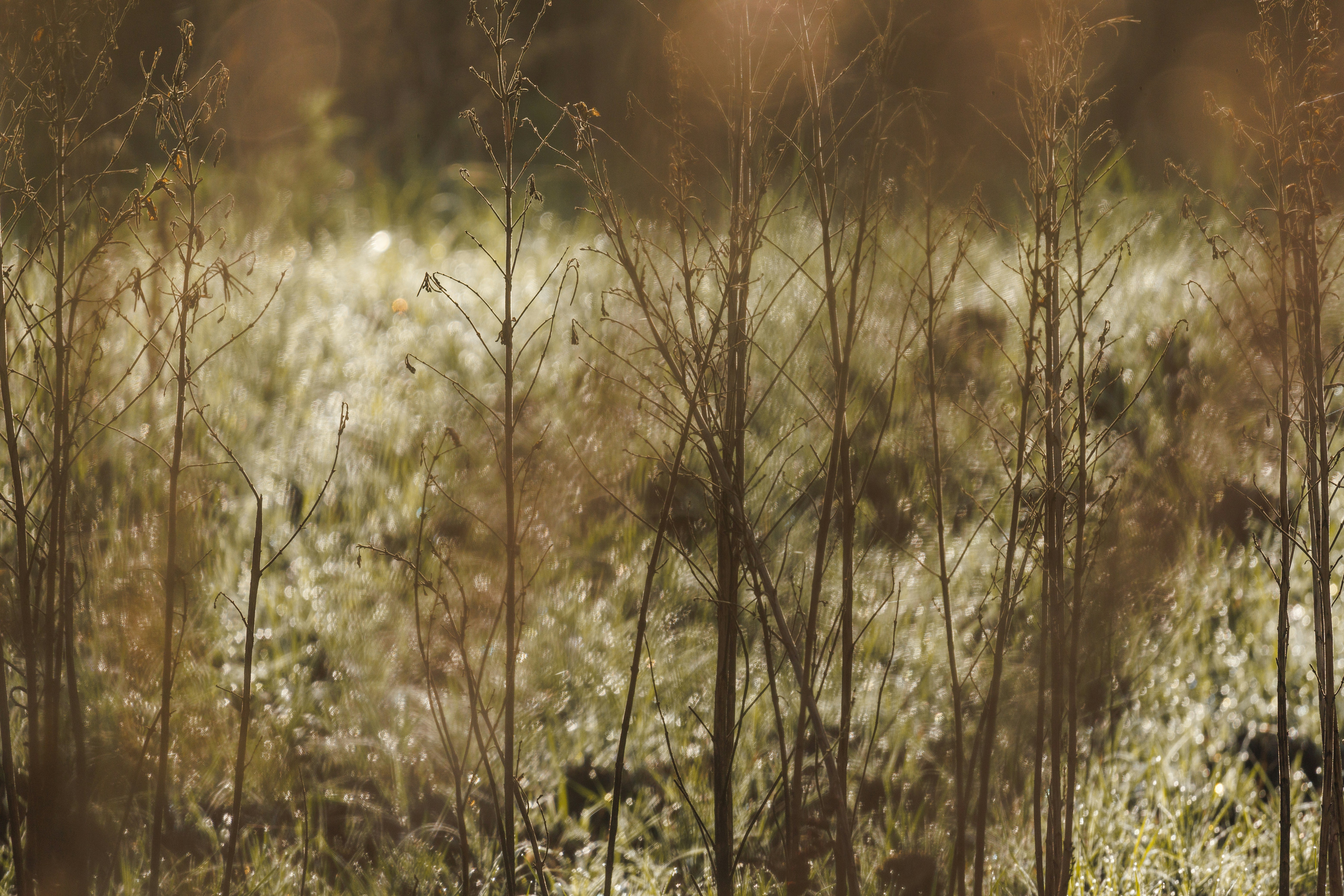 Photo by grievek1610begur