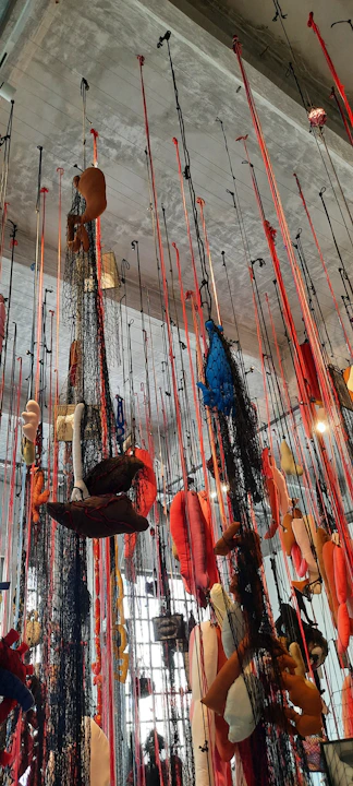 a person from a rope