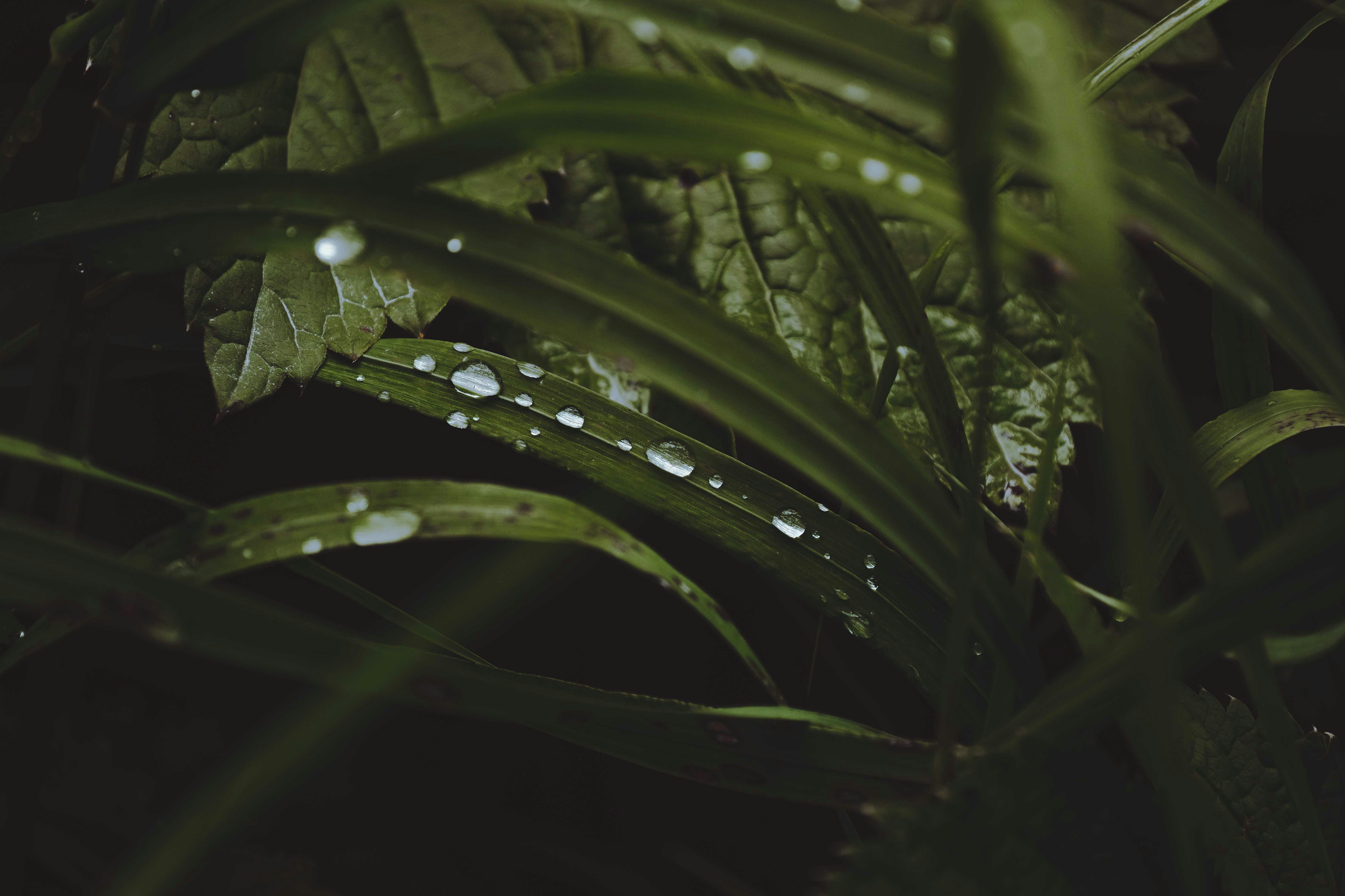 Photo by francesco_ungaro