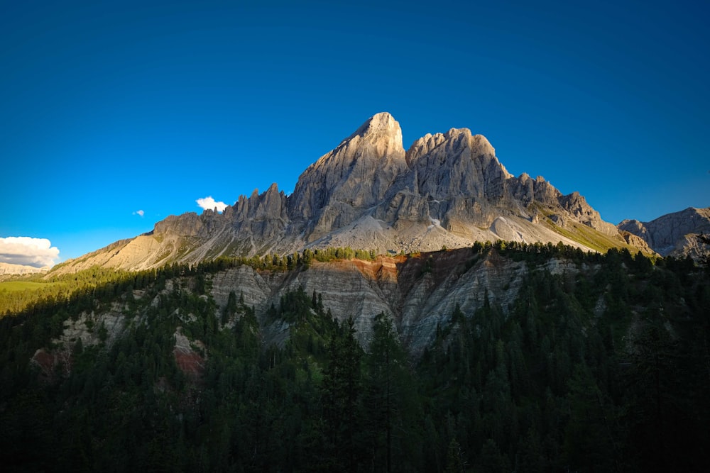 a mountain with trees below