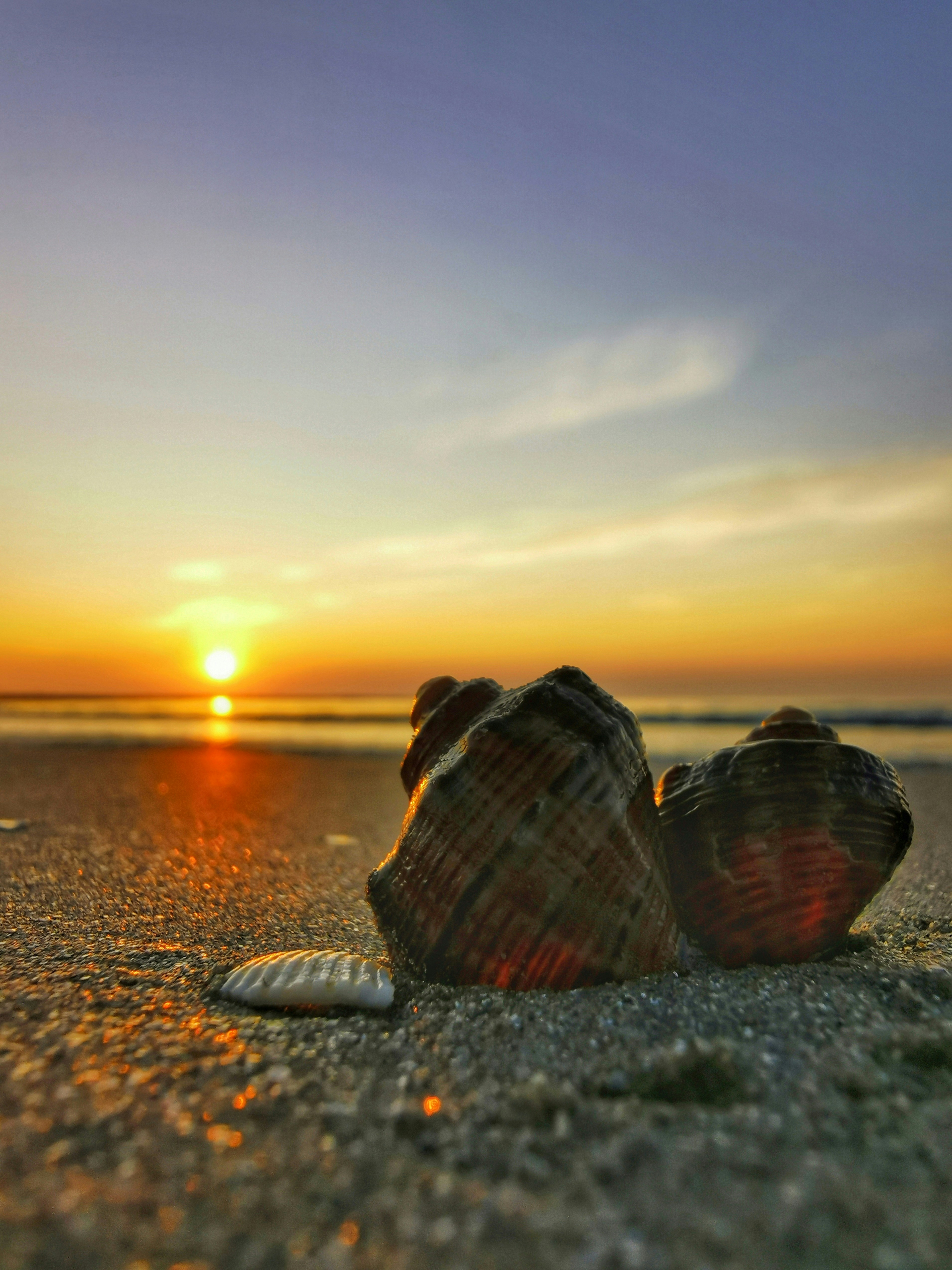 a pair of shoes on a beach