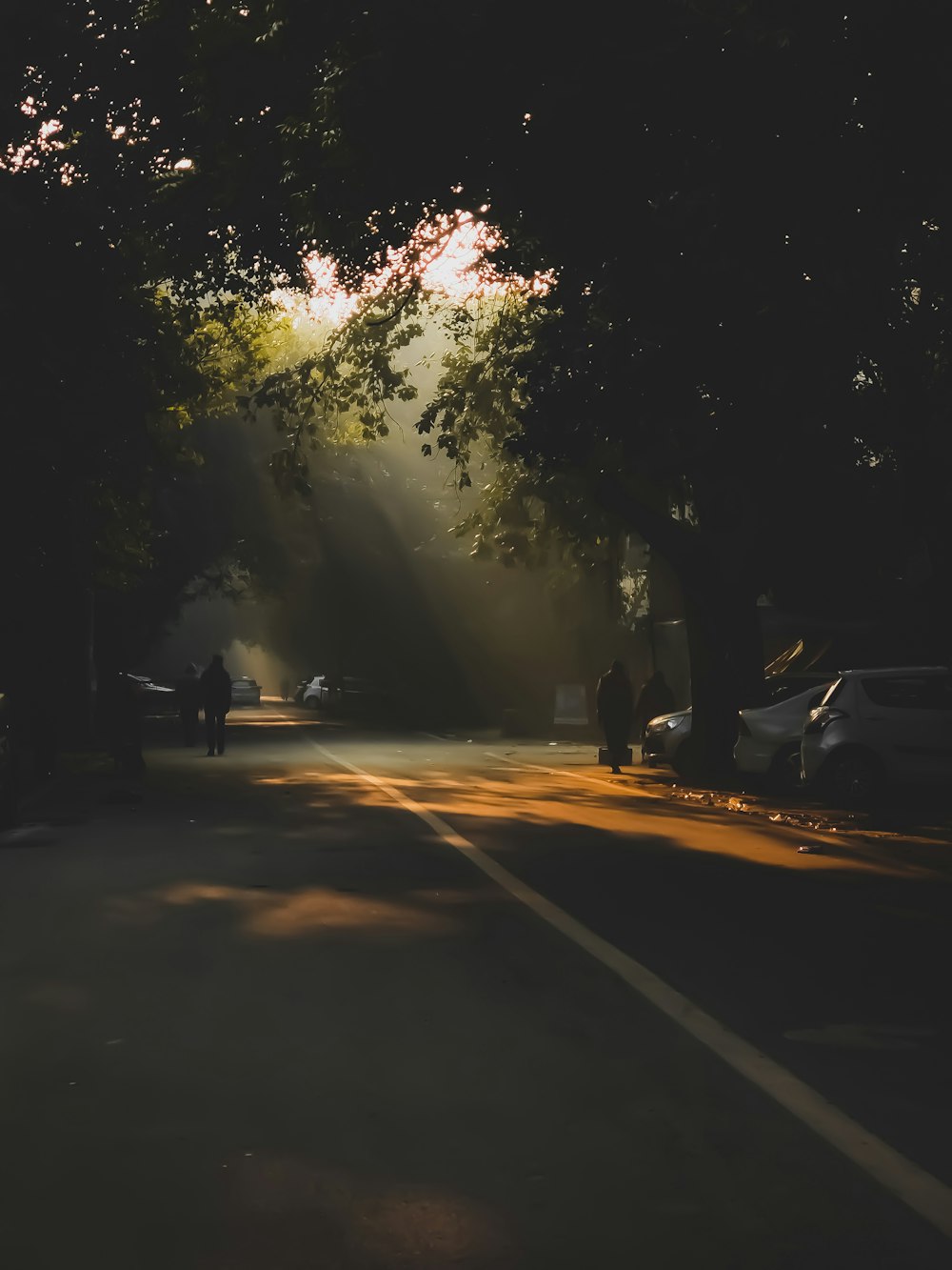 a street with trees on the side