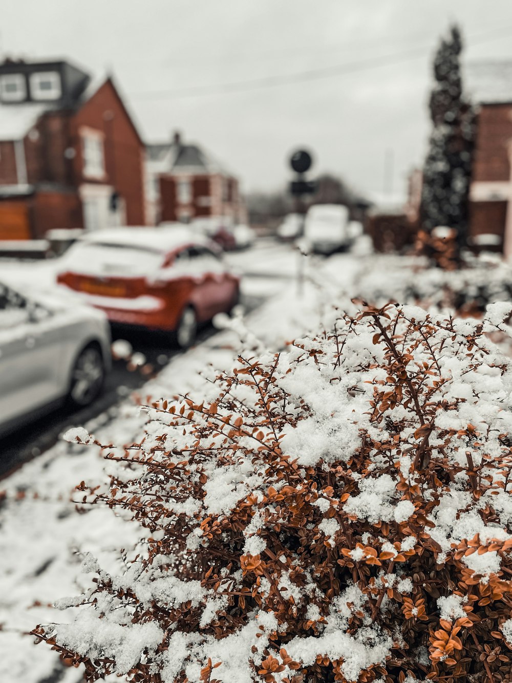 a street with cars and houses covered in snow