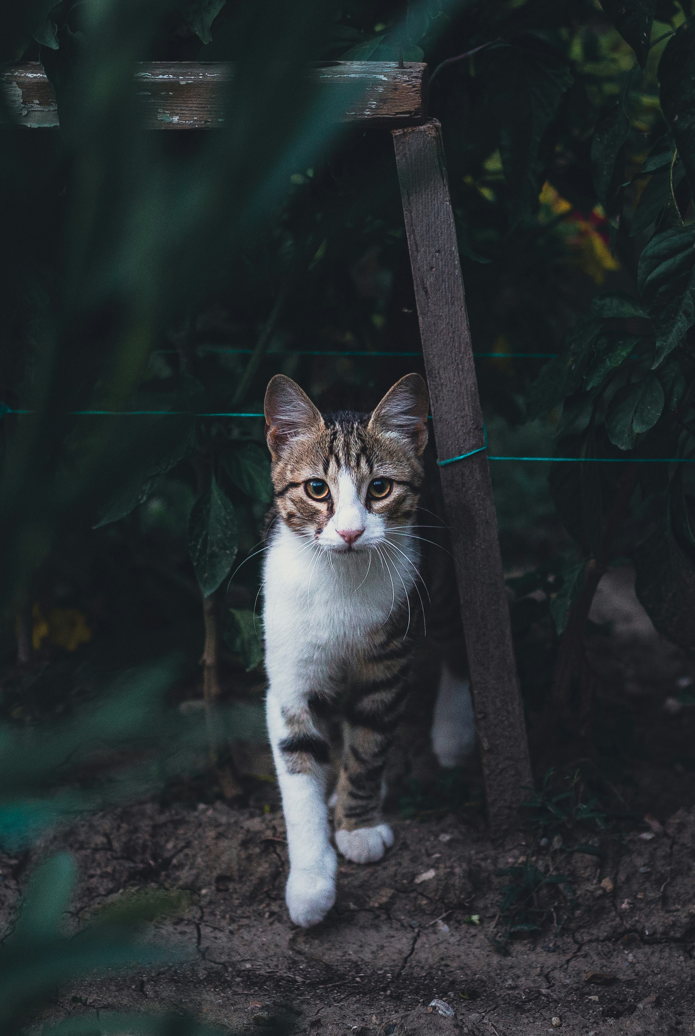 Photo by andreevaleksandar