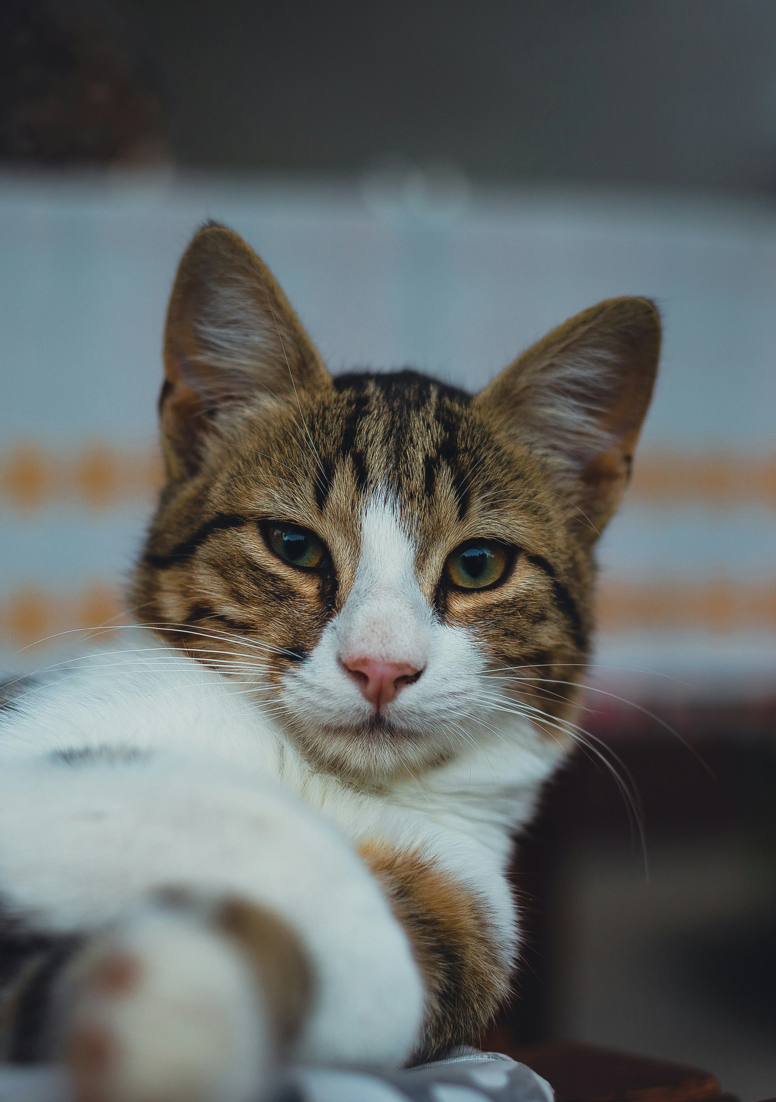 Photo by andreevaleksandar